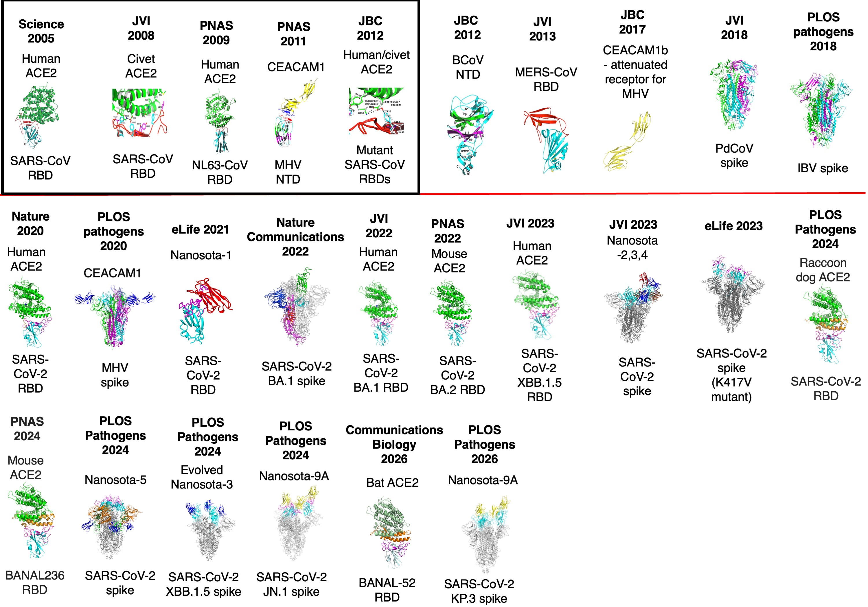 COV structures July 2026